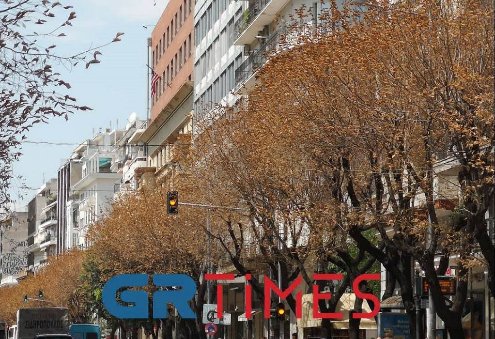 Θεσσαλονίκη: Αντικαθίστανται τα άρρωστα δέντρα της Τσιμισκή