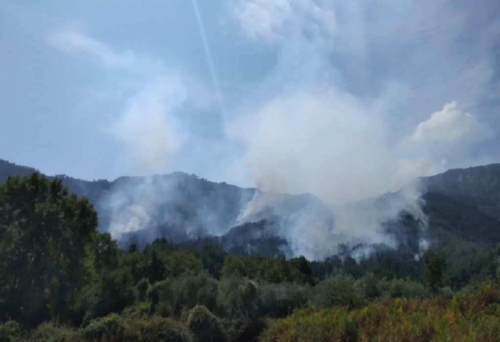 Φωτιά στη Ζάκυνθο – Καίγεται δασική έκταση στις Μαριές
