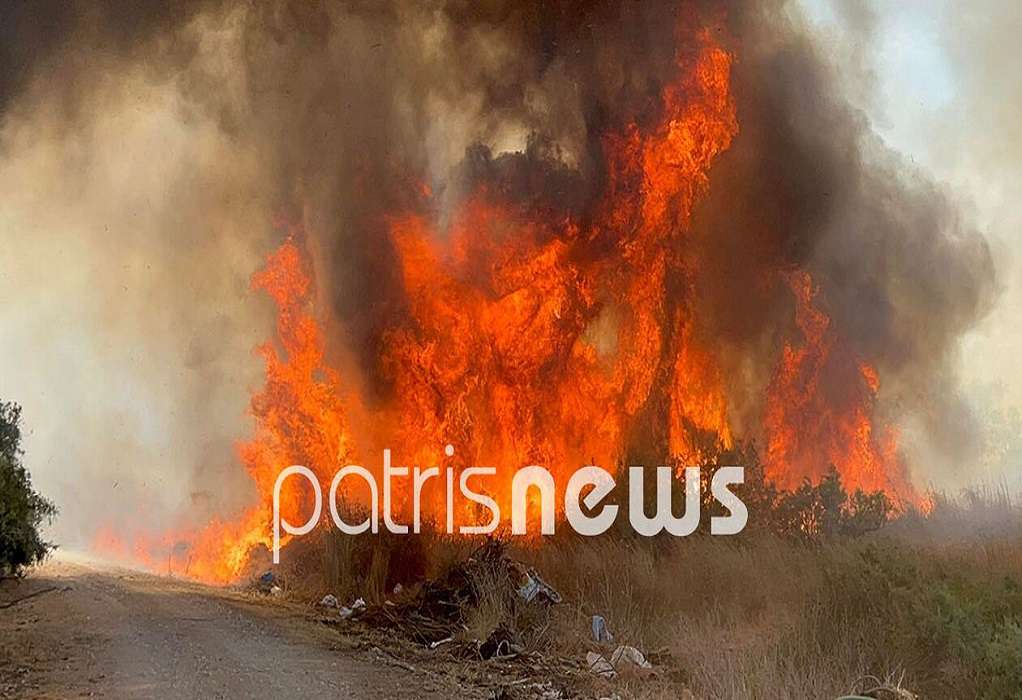 Φωτιά στον Πύργο Ηλείας: Εκκενώθηκε προληπτικά το χωριό Σπιάντζα – Ένας πολίτης στο νοσοκομείο (ΦΩΤΟ-VIDEO)