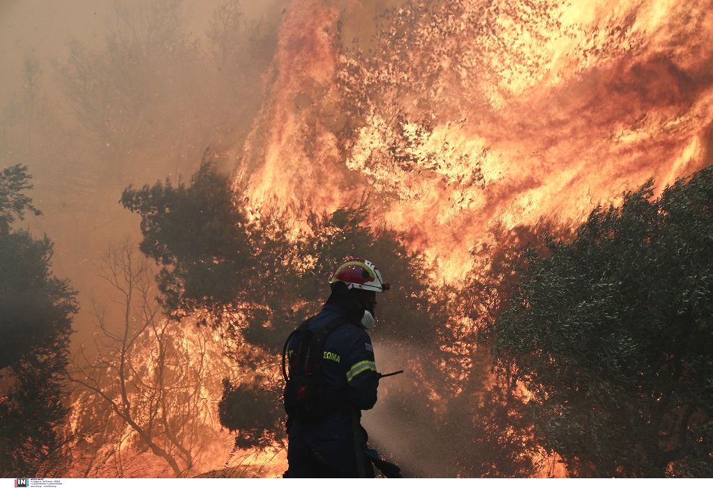 Οριοθετημένη η πυρκαγιά που ξέσπασε σε δασική έκταση στη Λιβαδειά