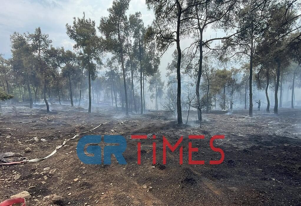 Φωτιά στο Σέιχ Σου: Από ποιο σημείο ξεκίνησε – Πόση έκταση κάηκε – Συνεχίζονται οι ρίψεις από αέρος (ΦΩΤΟ-VIDEO)