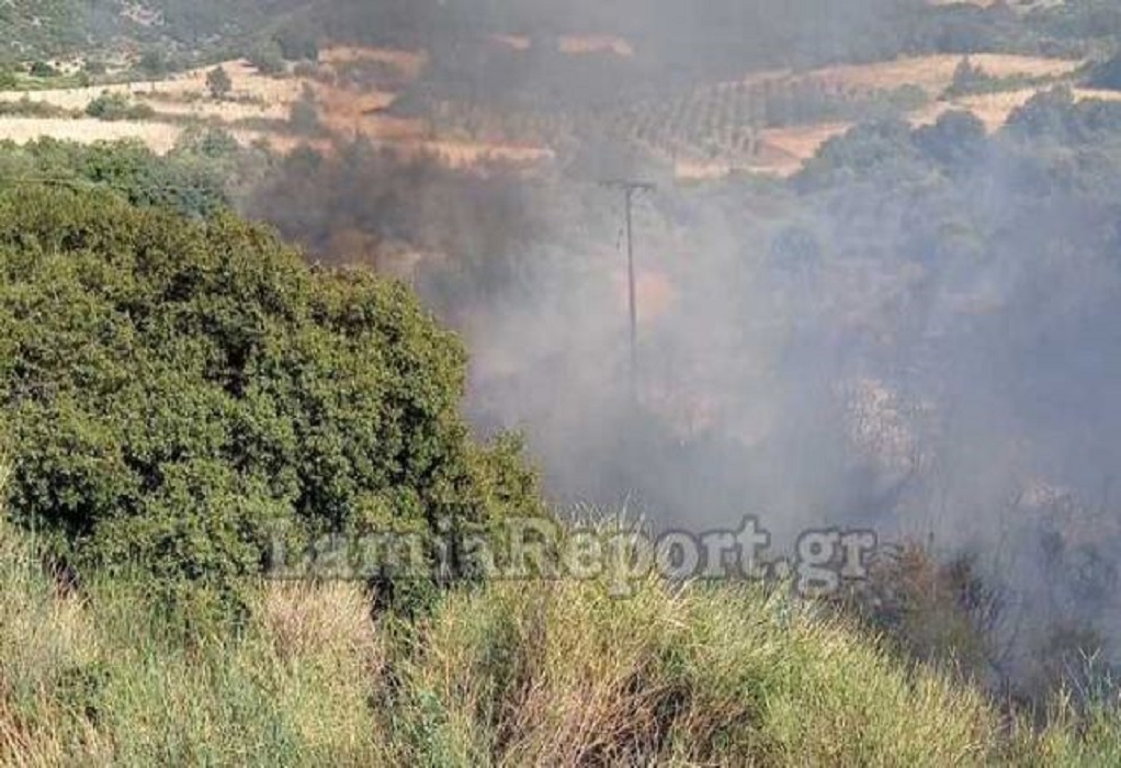 Μεγάλη φωτιά στο Λογγίτσι Στυλίδας – Στη μάχη δύο PZL (ΦΩΤΟ)