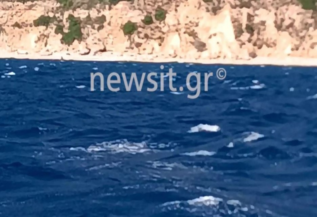 Κεφαλονιά: Νεκρός ο ένας από τους 9 κωπηλάτες που παρασύρθηκαν στη θάλασσα (ΦΩΤΟ-VIDEO)
