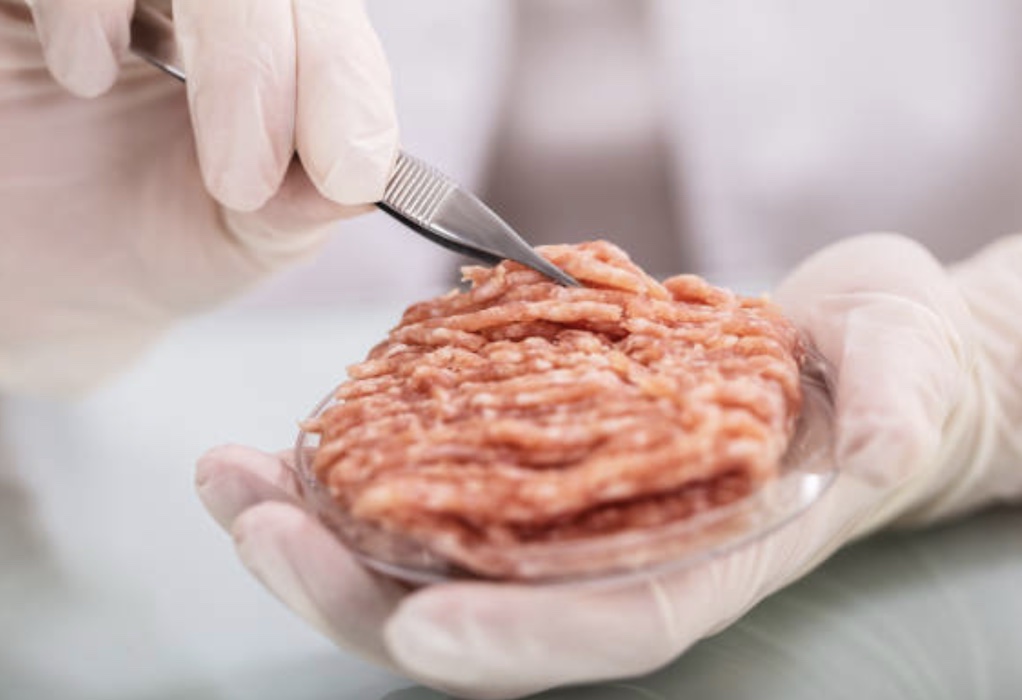 Είναι το συνθετικό κρέας μια βιώσιμη εναλλακτική λύση;