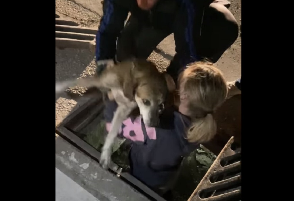 Αλεξανδρούπολη: Επιχείρηση διάσωσης για σκυλάκι που έπεσε και εγκλωβίστηκε σε φρεάτιο (VIDEO)