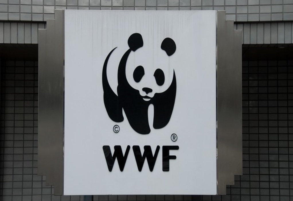 WWF: Μεσογειακές χώρες ενώνουν δυνάμεις για την αντιμετώπιση της παράκτιας ρύπανσης
