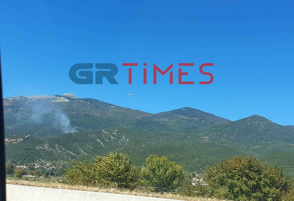 Καβάλα: Πυρκαγιά σε δασική έκταση στο Πυργοχώρι – Σηκώθηκε ελικόπτερο (ΦΩΤΟ)
