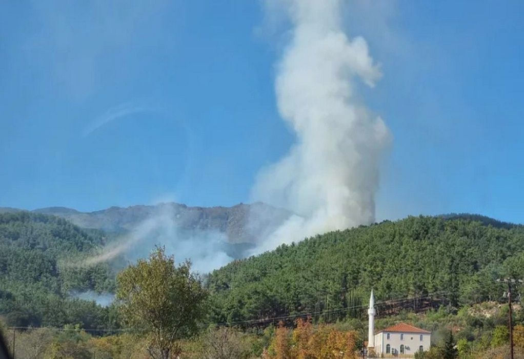 Οριοθετήθηκε η πυρκαγιά στην περιοχή Μίσχος Ροδόπης