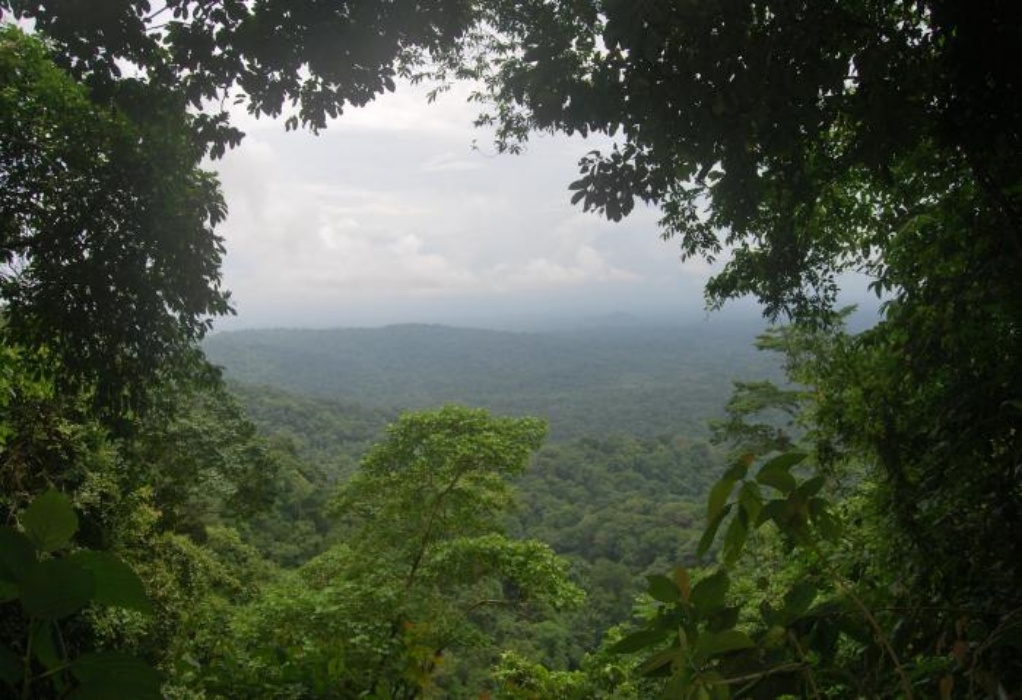 Παναμάς: Αριθμός ρεκόρ παιδιών διέσχισε την επικίνδυνη ζούγκλα του Ντάριεν με στόχο να φτάσουν στις ΗΠΑ