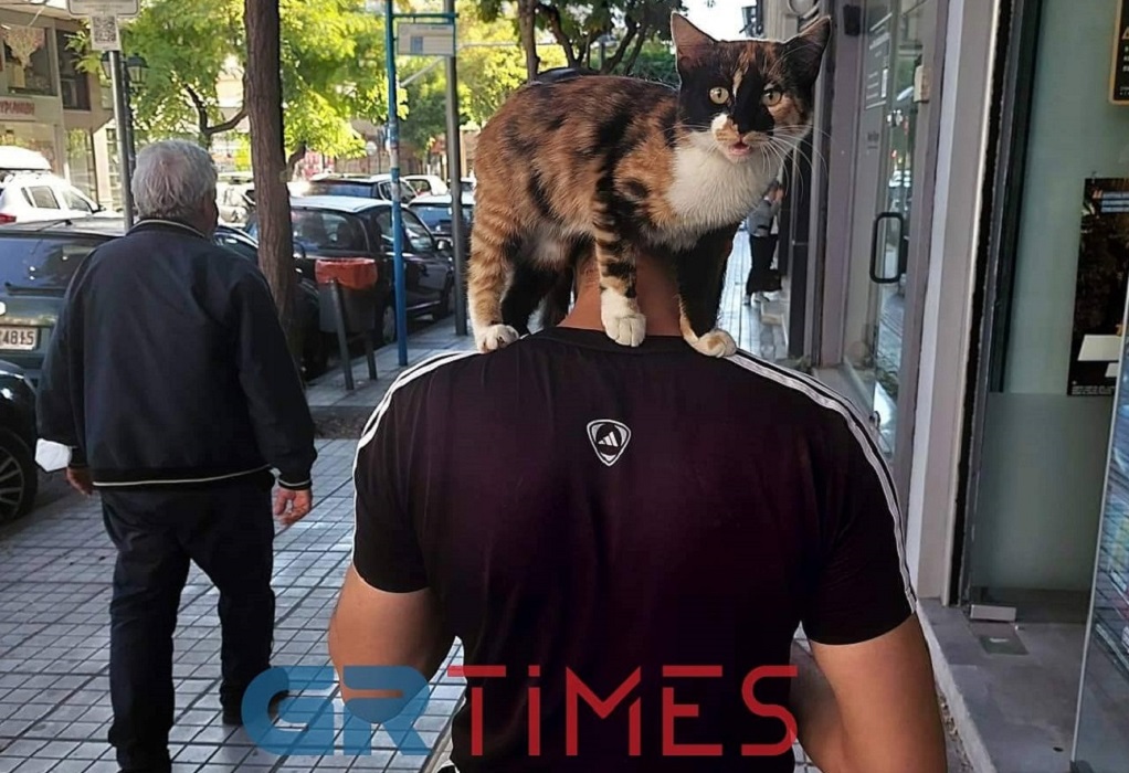 Θεσσαλονίκη: Βγήκε βόλτα με την γάτα … στον ώμο ! (ΦΩΤΟ)