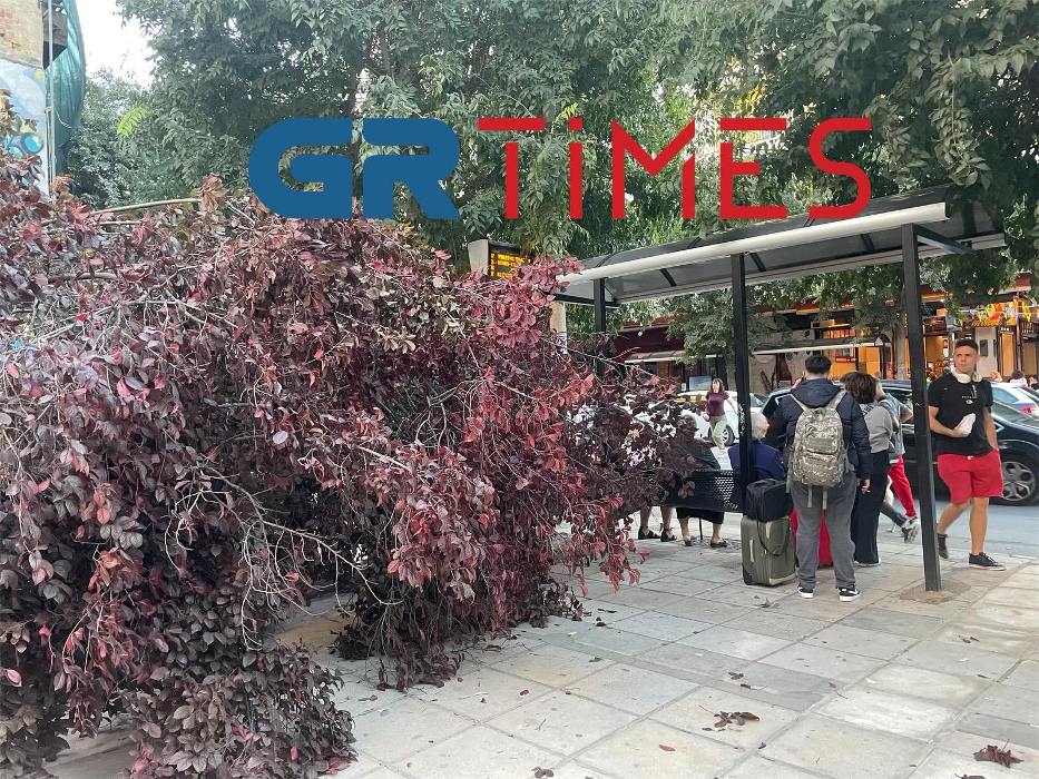 «Τα πήρε και τα σήκωσε» ο Βαρδάρης: Έπεσαν δέντρα-Από τύχη δεν τραυματίστηκε κανείς (ΦΩΤΟ-VIDEO)