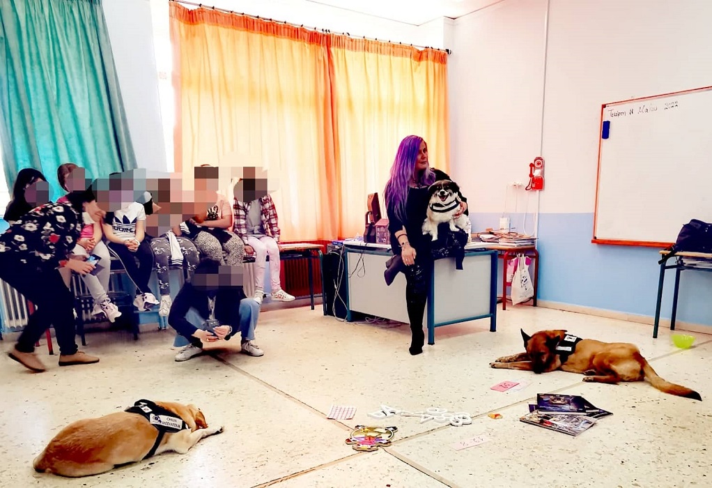 Θεσσαλονίκη: Τρεις σκύλοι σε σχολεία για να διδάξουν σε μαθητές την αληθινή αγάπη