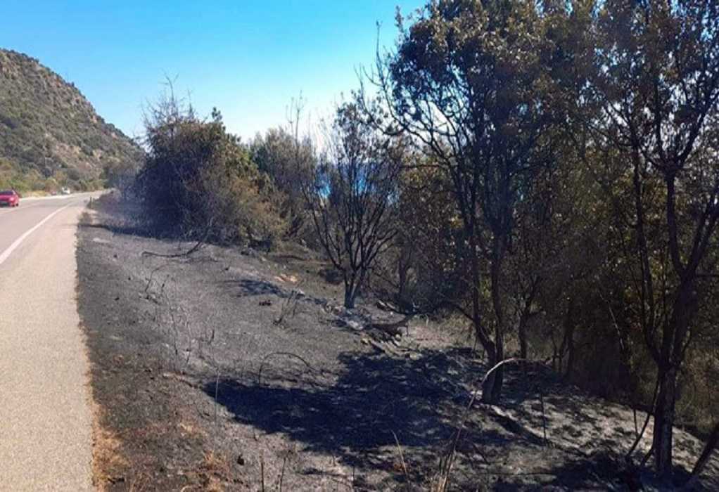 Καβάλα: Υπό έλεγχο τέθηκε η φωτιά στα Λουτρά Ελευθέρων (ΦΩΤΟ)