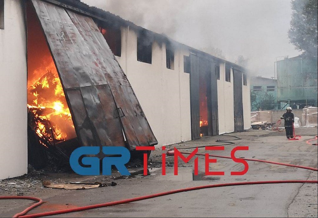 Θεσσαλονίκη: Μαίνεται η φωτιά σε αποθήκη μεταφορικής εταιρίας στο Καλοχώρι (ΦΩΤΟ-VIDEO)