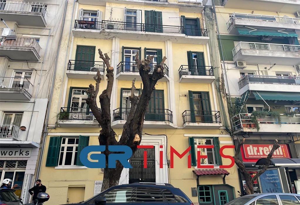 Παρέμβαση εισαγγελέα για τις κοπές δένδρων στη Θεσσαλονίκη
