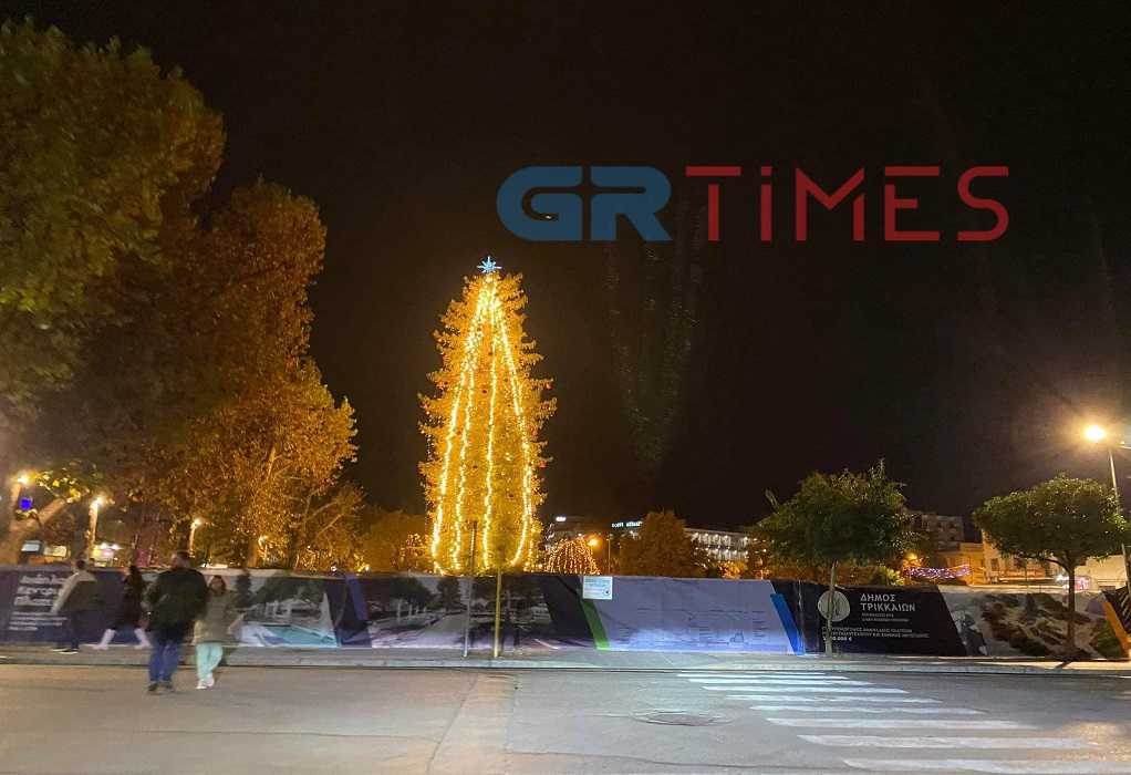 Στα Τρίκαλα το μεγαλύτερο φυσικό χριστουγεννιάτικο δέντρο της Ελλάδας (ΦΩΤΟ)