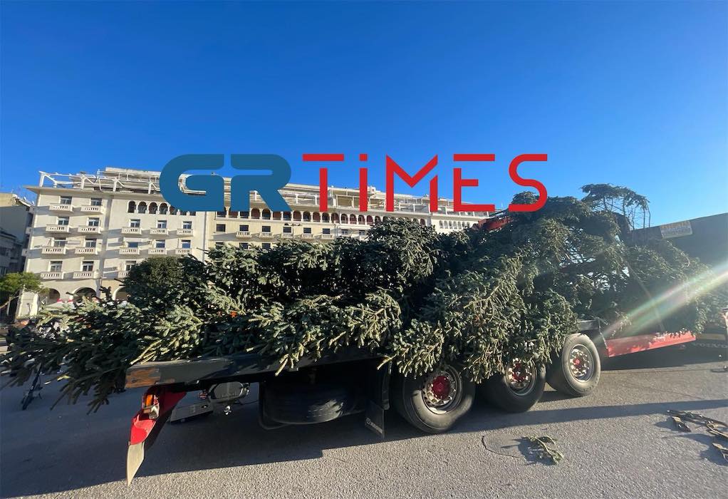 Θεσσαλονίκη: Έφτασε το χριστουγεννιάτικο δέντρο στην πλατεία Αριστοτέλους (ΦΩΤΟ-VIDEO)