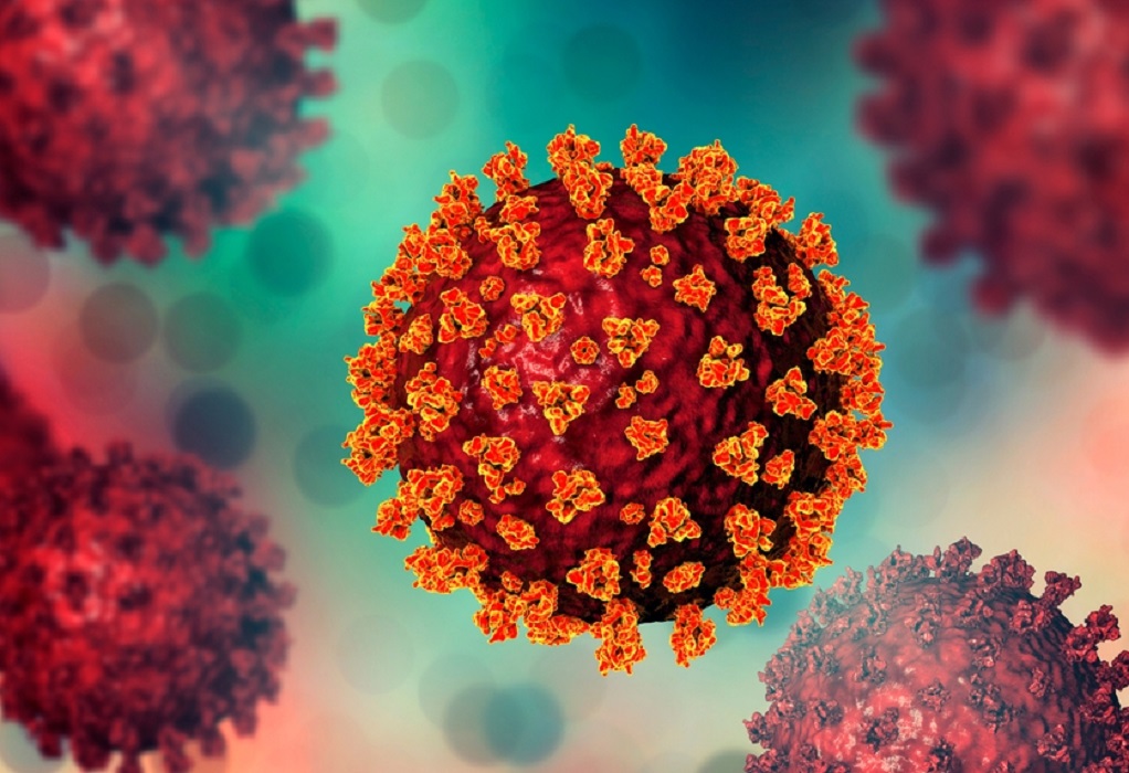 Κορωνοϊός: Ακόμη και οι αρουραίοι των υπονόμων μπορούν να κολλήσουν τον ιό
