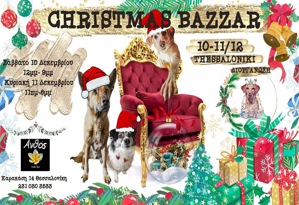 Χριστουγεννιάτικο bazaar από αδέσποτα για αδέσποτα στη Θεσσαλονίκη