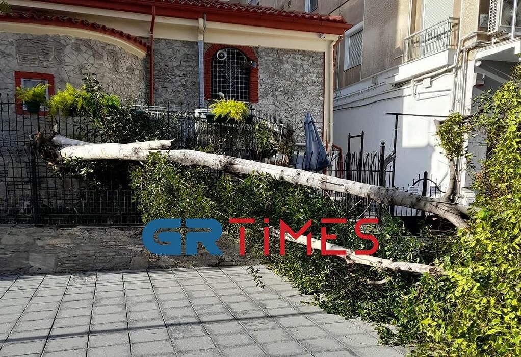 Θεσσαλονίκη: Πτώσεις δέντρων και κλαδιών λόγω ανέμων (ΦΩΤΟ-VIDEO)