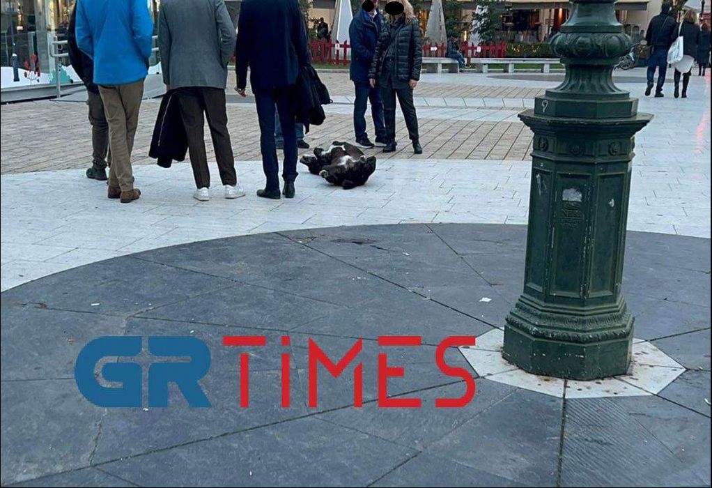 Θεσσαλονίκη: Τον νόμιζαν νεκρό αλλά εκείνος έκανε… νάζια (ΦΩΤΟ-VIDEO)