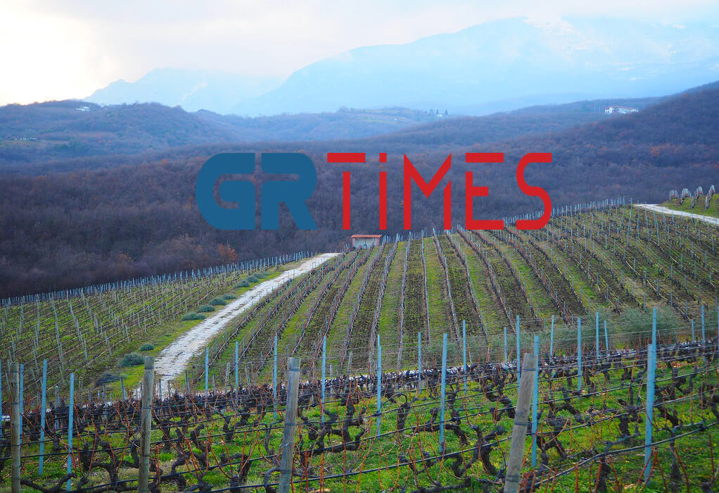 Το GRTimes.gr στο Κτήμα Κυρ Γιάννη: 10.000 επισκέπτες σε έναν χρόνο! (ΦΩΤΟ)
