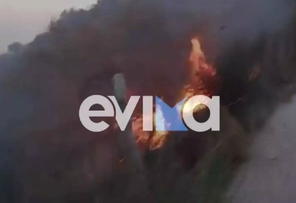 Εύβοια: Πυρκαγιά σε δασική έκταση στην Κάρυστο (ΦΩΤΟ)