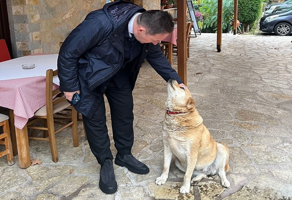 Πέτσας: «Οι προδιαγραφές για την αδειοδότηση των καταφυγίων ζώων συντροφιάς»