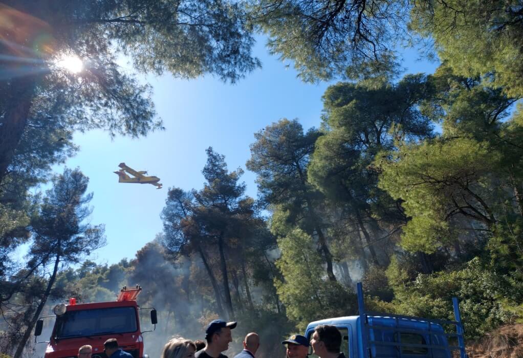 Χαλκιδική: Υπό έλεγχο η πυρκαγιά σε δασική έκταση στο Παλιούρι (ΦΩΤΟ)