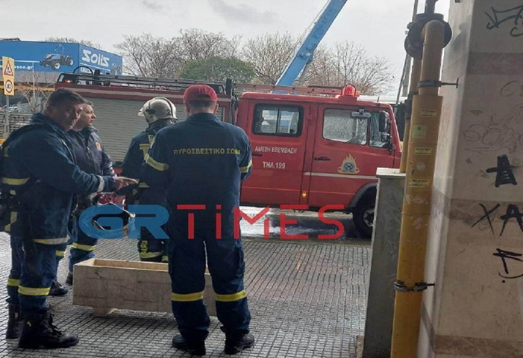 Θεσσαλονίκη: Πυροσβέστες έσωσαν γατάκι από φλεγόμενο διαμέρισμα (ΦΩΤΟ)