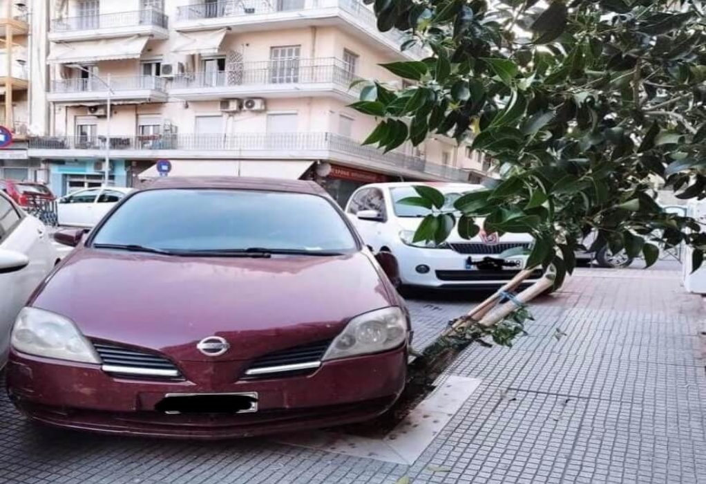 Δ. Θεσσαλονίκης: Μήνυση κατά οδηγού που πάρκαρε το αυτοκίνητό του πάνω σε κορμό δέντρου (ΦΩΤΟ) 
