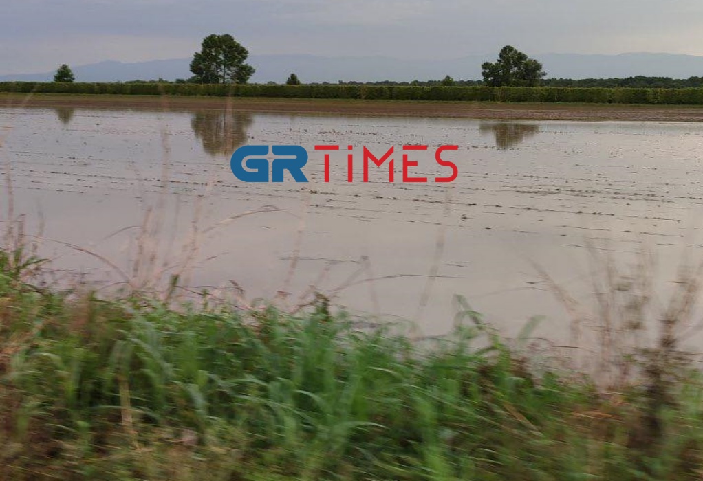 Πέλλα: «Βγάζουμε νερά μέσα από τα χωράφια» – Ολική καταστροφή στις καλλιέργειες (ΦΩΤΟ-VIDEO)