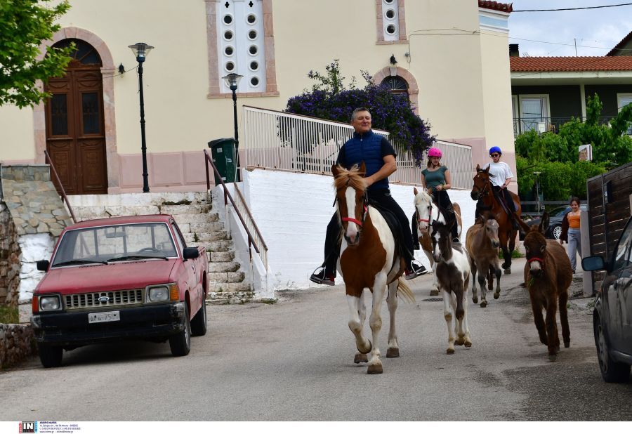 Εκλογές 2023 – Ναύπλιο: Αγρότης πήγε σε εκλογικό τμήμα με άλογα και γαϊδουράκια (ΦΩΤΟ-VIDEO)