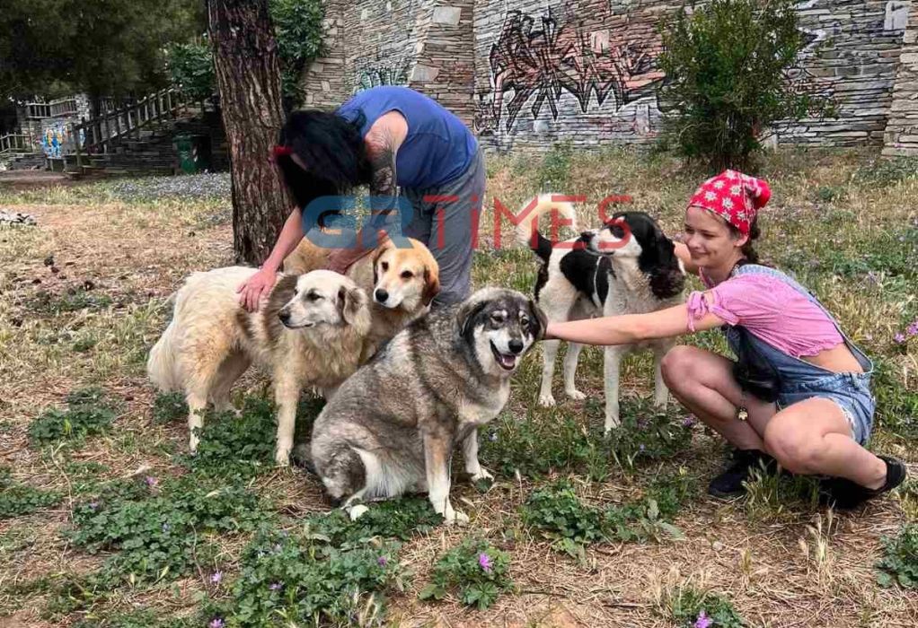 Σέιχ Σου: Φιλόζωοι επιστράτευσαν… τουρίστες για να ταΐσουν αδέσποτα σκυλιά που κινδυνεύουν να μείνουν νηστικά (ΦΩΤΟ)
