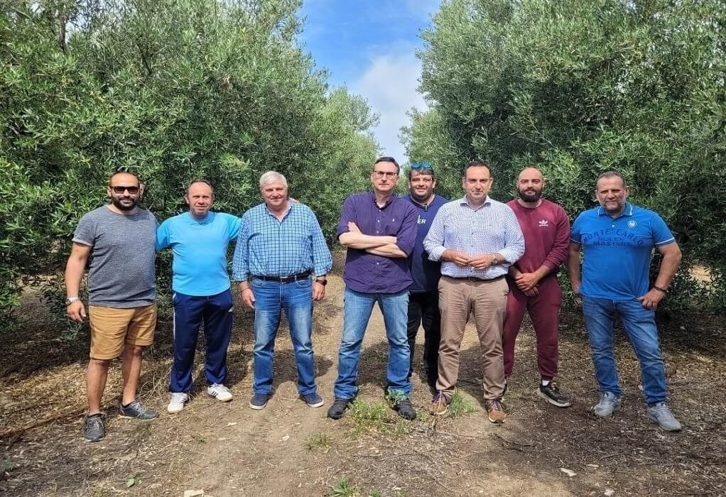 Οι πρωτοβουλίες του Επιμελητηρίου Χαλκιδικής για την ακαρπία στην ελιά