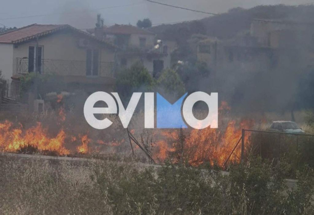 Εύβοια: Φωτιά σε ξερά χόρτα κοντά σε οικισμό (ΦΩΤΟ)