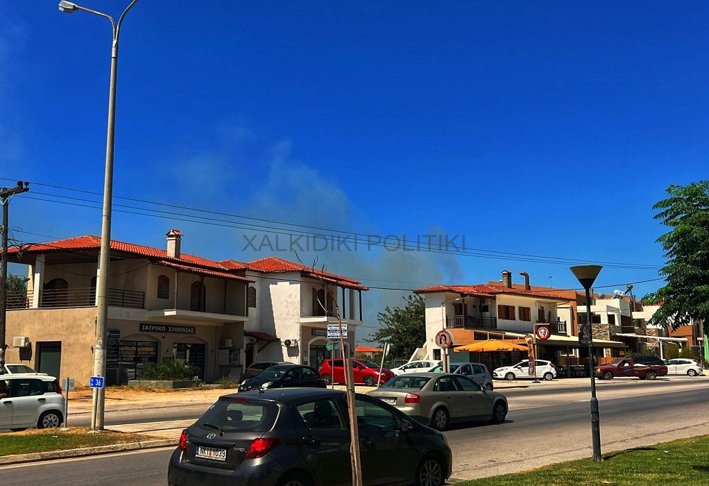 Νέος συναγερμός στην Πυροσβεστική: Ξέσπασε φωτιά στη Χαλκιδική (ΦΩΤΟ)