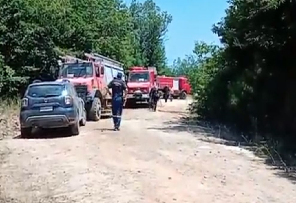 Άγιον Όρος: Mοναχός ευχαρίστησε τους πυροσβέστες για την οριοθέτηση της φωτιάς 