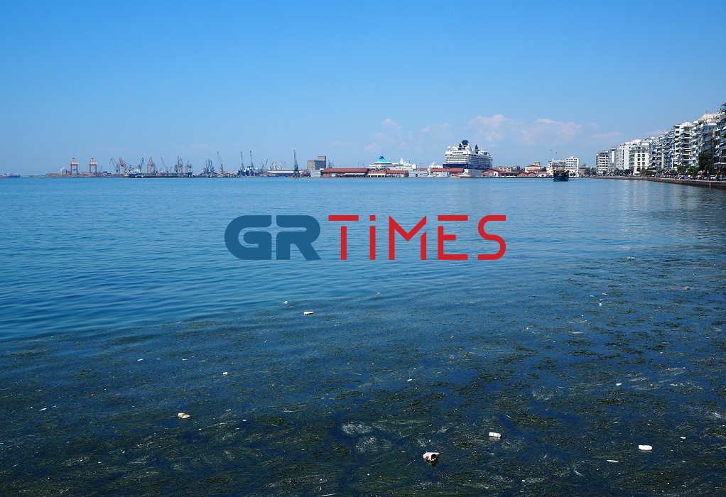 Θεσσαλονίκη: Δυσφορία κατοίκων και τουριστών από τη βρωμιά στον Θερμαϊκό (ΦΩΤΟ)