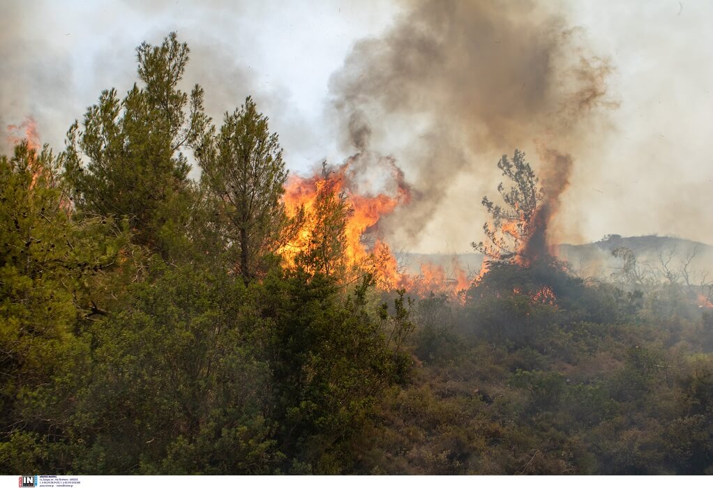 Φθιώτιδα: Προς Ελάτεια κατευθύνεται η φωτιά στην Κάτω Τιθορέα