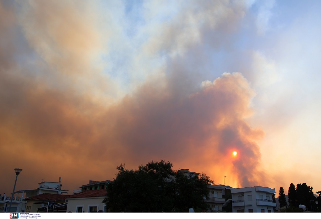 Ηλεία: Οριοθετήθηκε η φωτιά αλλά κάηκε το δάσος της Παλαιοβαρβάσαινας-Είχε γίνει απόπειρα εμπρησμού