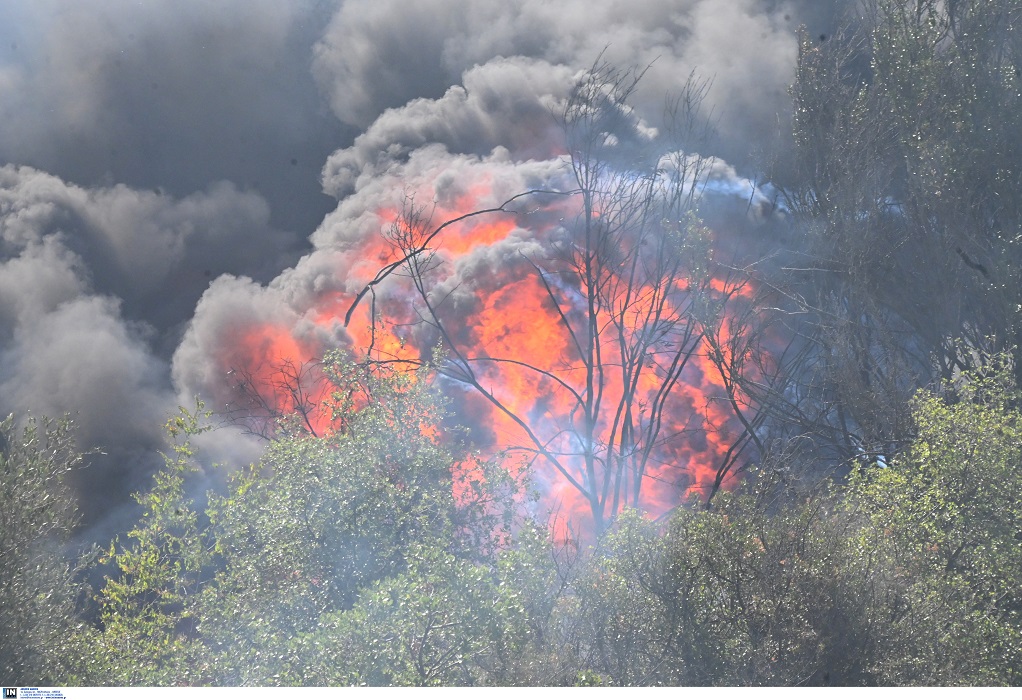 Φωτιά σε εξέλιξη στη Φθιώτιδα-Απειλούνται αγροικίες