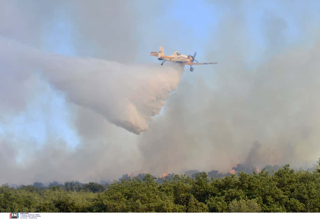 Πέλλα: Συναγερμός για φωτιά στον Προφήτη Ηλία-Στη «μάχη» και αεροσκάφος