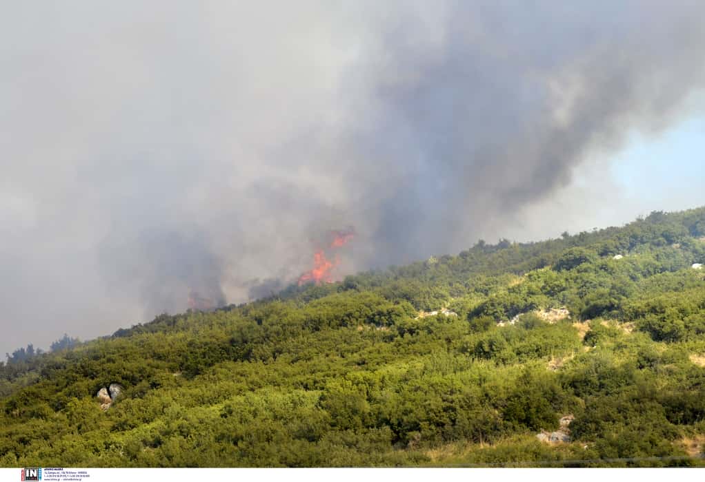 Φωτιά σε δασική έκταση στην Καστοριά