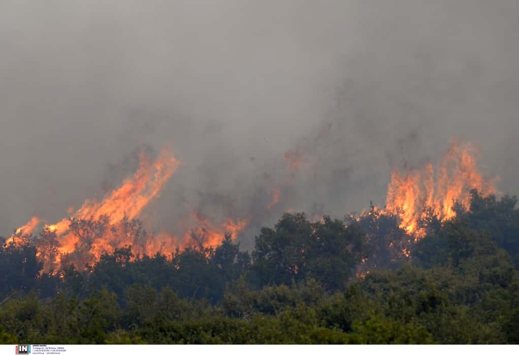Χαλκιδική: Υψηλός σήμερα (14/8) ο κίνδυνος εκδήλωσης πυρκαγιάς-Που απαγορεύεται η κυκλοφορία