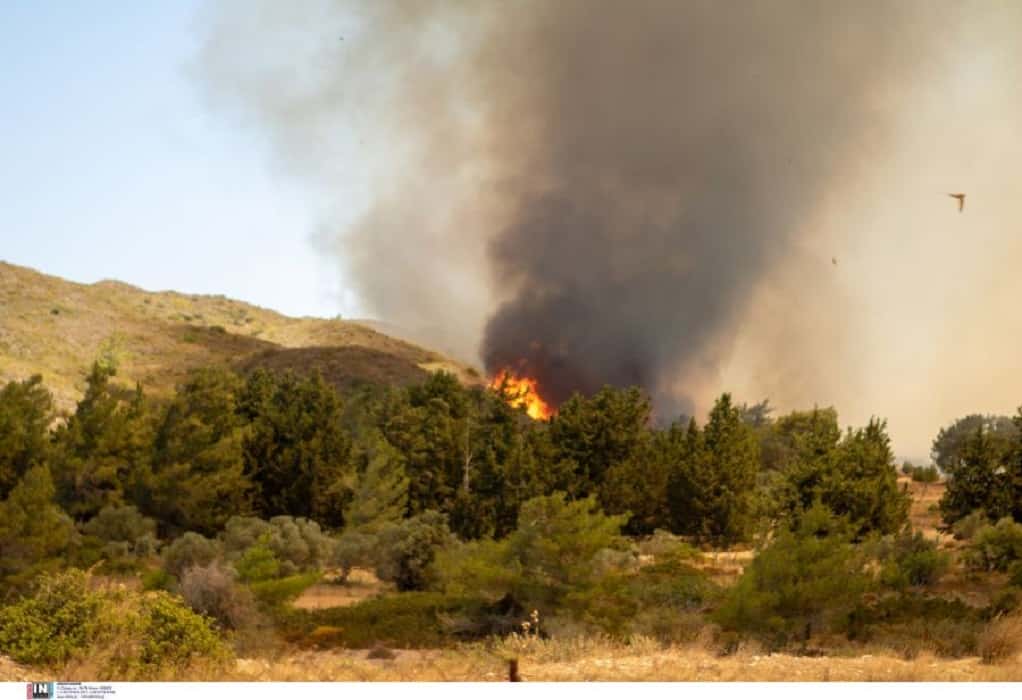 Φθιώτιδα: Φωτιά σε δύσβατη περιοχή στη Λάρυμνα Λοκρίδας