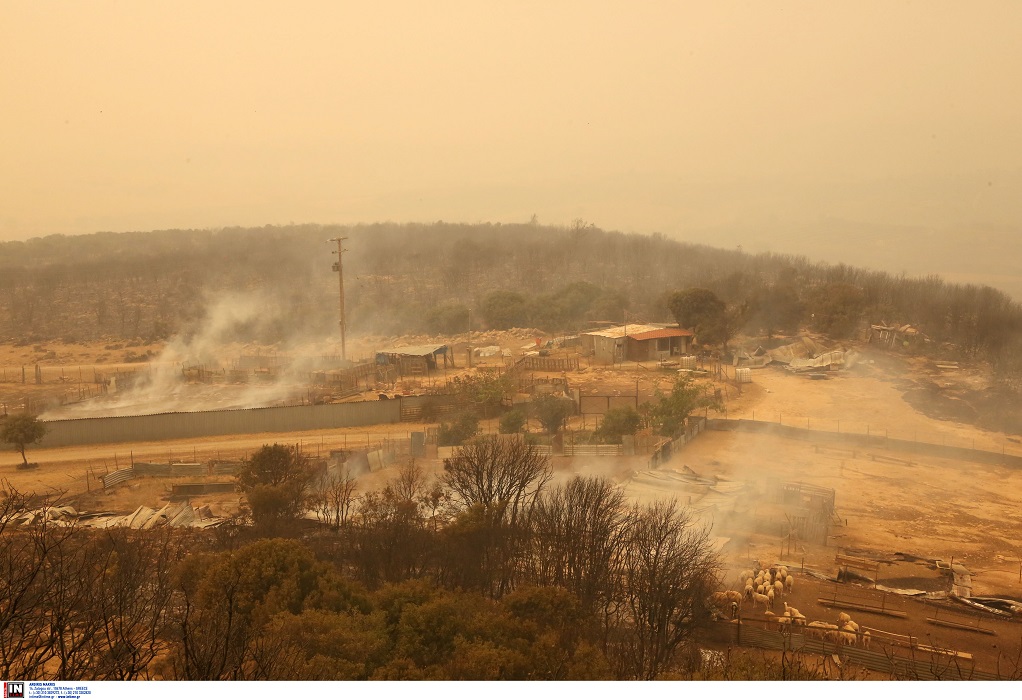 Ανεξέλεγκτη η φωτιά στη Ροδόπη: Εκκενώνονται αποθήκες με πυρομαχικά στις Σάπες
