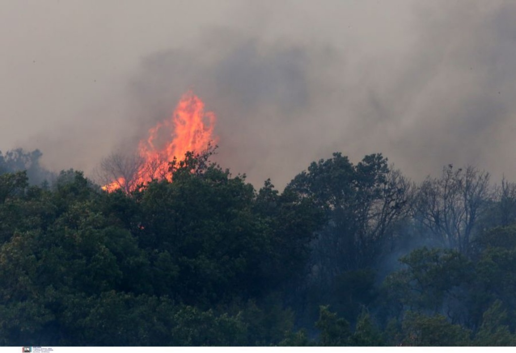 Συνεχής η μάχη με τις φλόγες στον Έβρο – 44 πυρκαγιές σε όλη τη χώρα το τελευταίο 24ωρο (VIDEO)