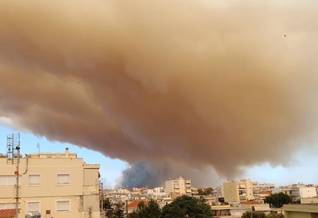 Φωτιά στην Αλεξανδρούπολη: Νέο μήνυμα του «112», για τους καπνούς -«Κλείστε πόρτες και παράθυρα»