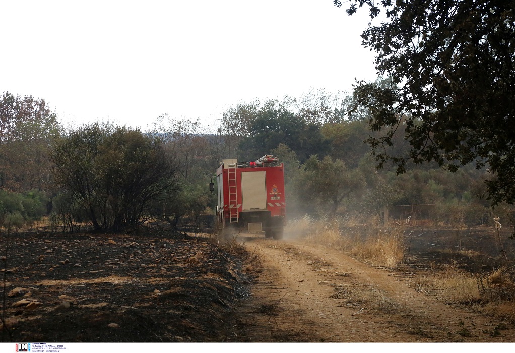 Αλεξανδρούπολη: Τα ενεργά μέτωπα της φωτιάς-Έκκληση σε αγρότες να συνδράμουν με βυτιοφόρα οχήματα